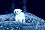 preview cold