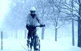 preview cold