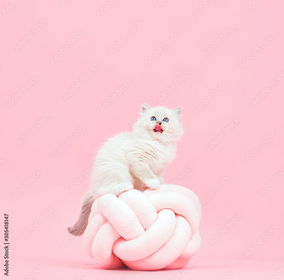 image to crop