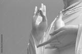 preview bw