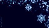 preview cold
