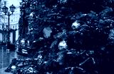preview cold