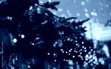 preview cold