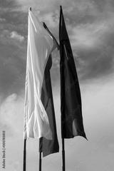 preview bw