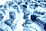 preview cold