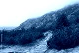preview cold