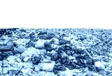 preview cold