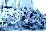 preview cold