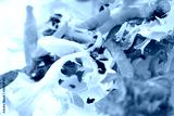 preview cold