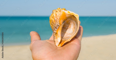 image to crop
