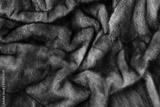 preview bw