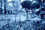 preview cold