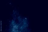 preview cold