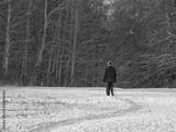 preview bw