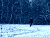 preview cold