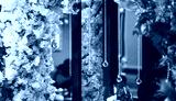 preview cold