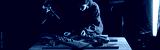 preview cold