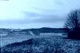 preview cold