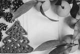 preview bw