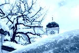 preview cold