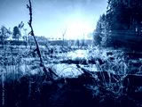 preview cold