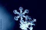 preview cold