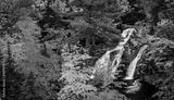 preview bw