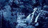 preview cold
