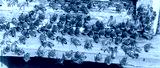 preview cold