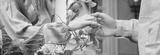 preview bw