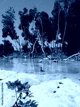 preview cold