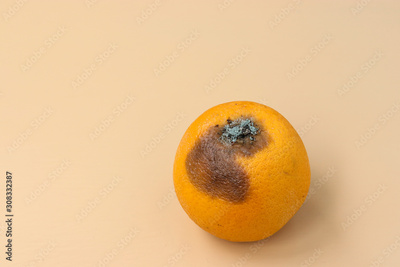 image to crop