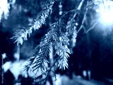 preview cold