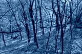 preview cold