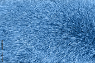 image to crop