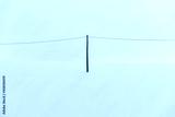 preview cold