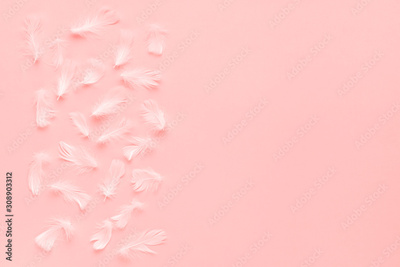 image to crop