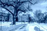 preview cold