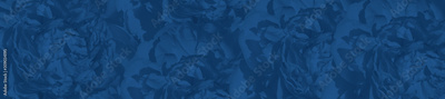 image to crop