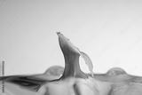 preview bw