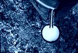preview cold