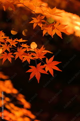 preview original