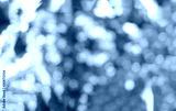 preview cold