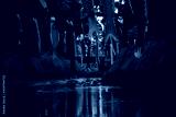 preview cold