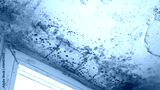 preview cold