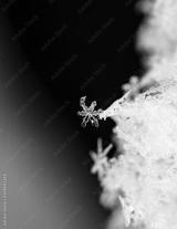 preview bw