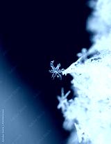 preview cold