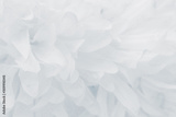 preview original