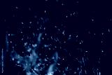 preview cold