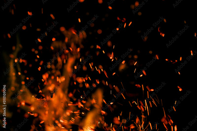image to crop